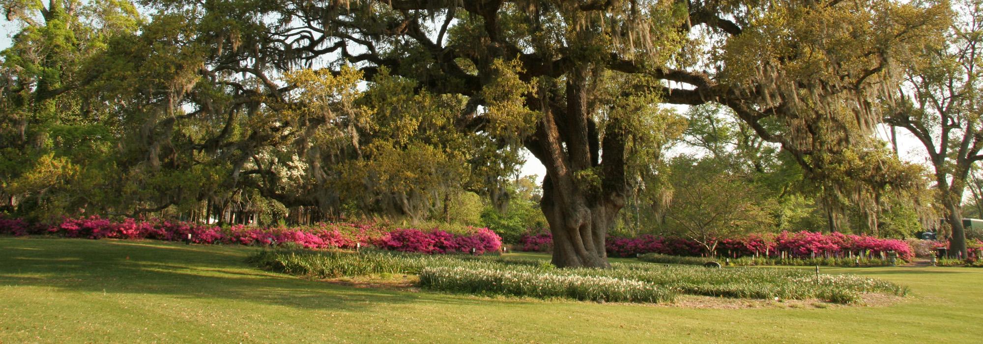 Airlie Gardens TCLF