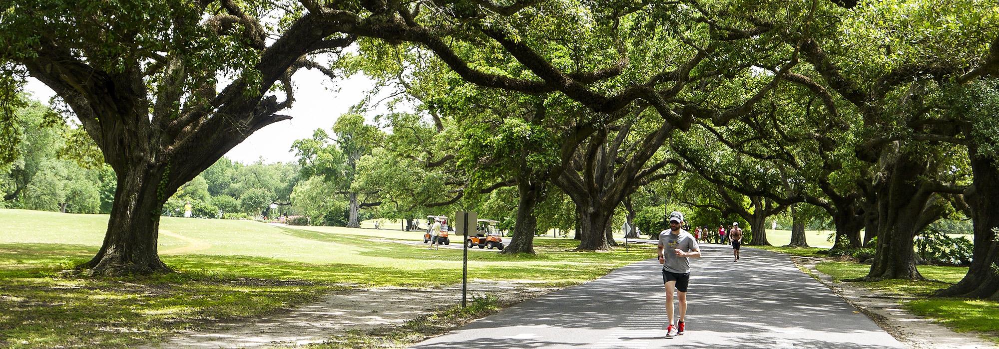 AudubonPark_hero_2016_HallieBorstel.jpg AudubonPark_hero_2016_HallieBorstel.jpg