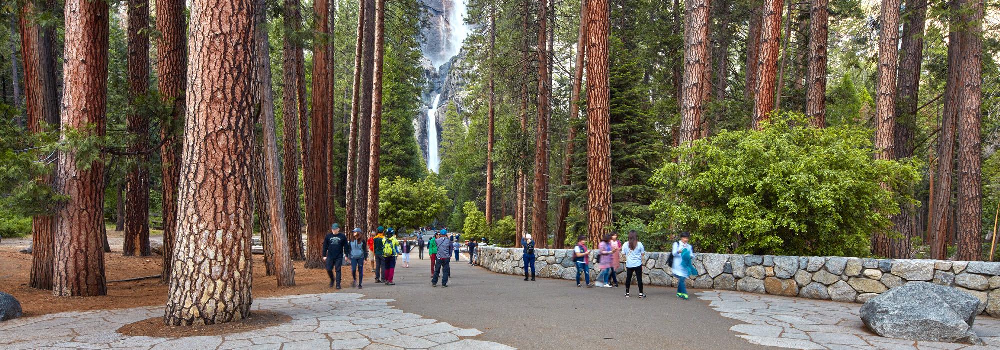 Yosemite Falls Corridor, Yosemite National Park, CA