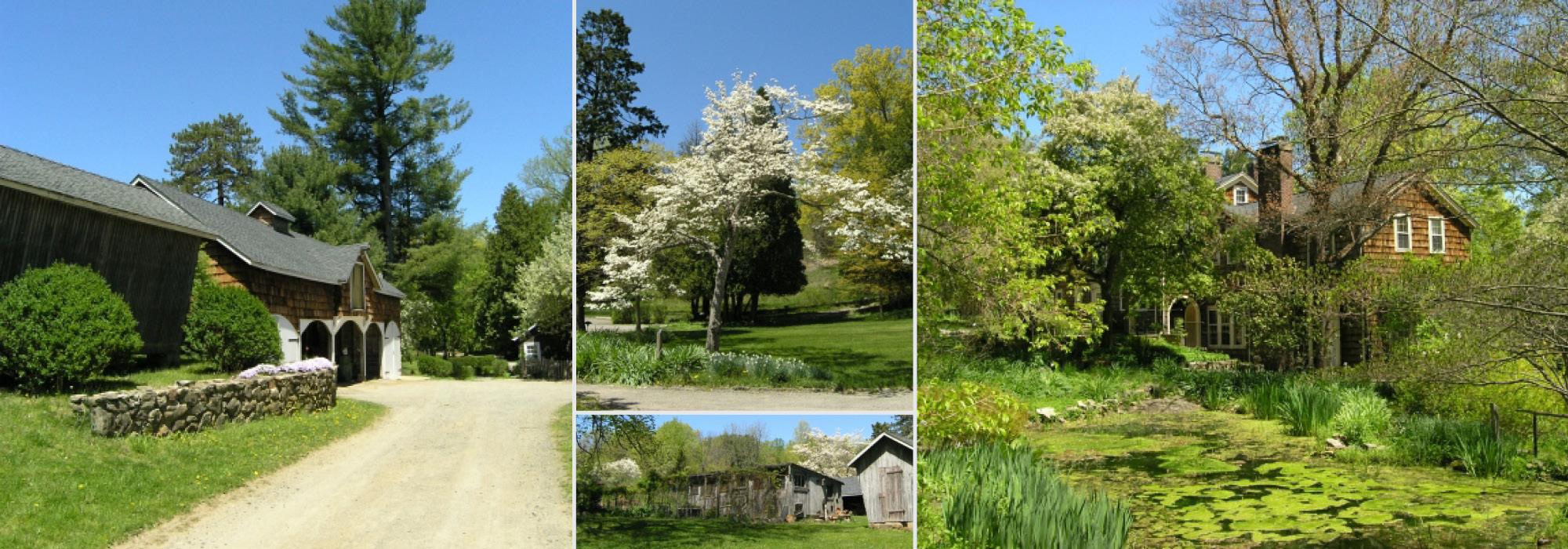 Bamboo Brook Outdoor Education Center | TCLF