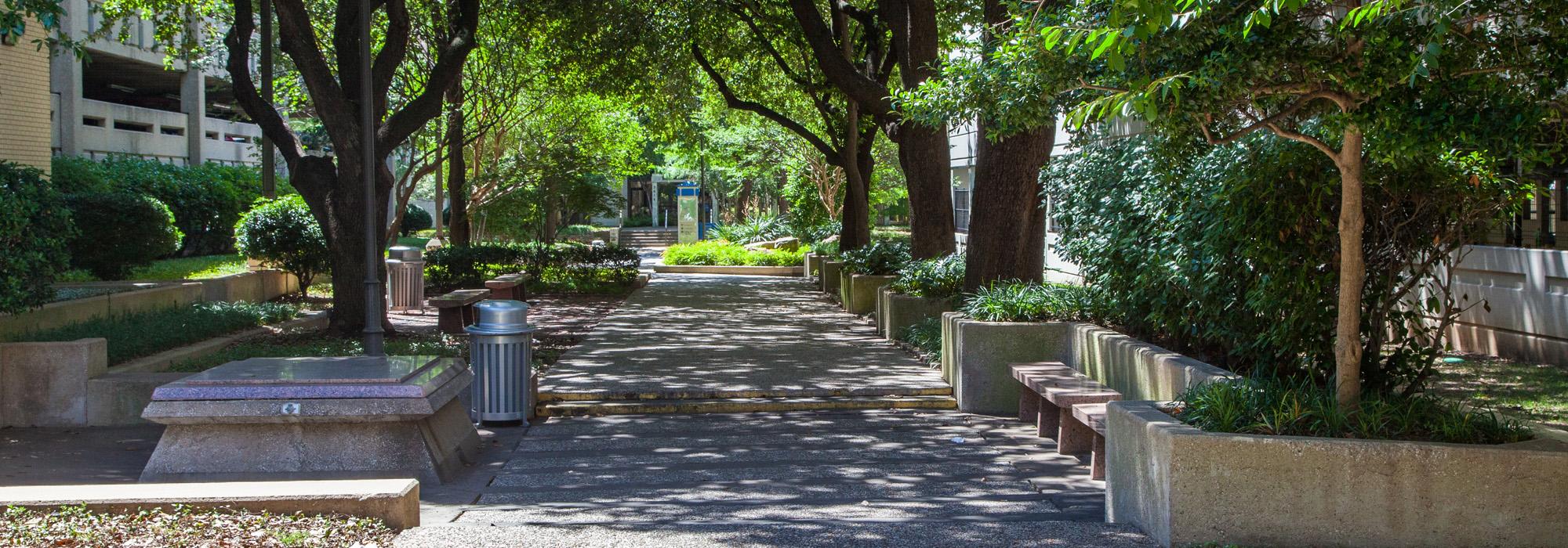 Baylor University Medical Center, Dallas, TX