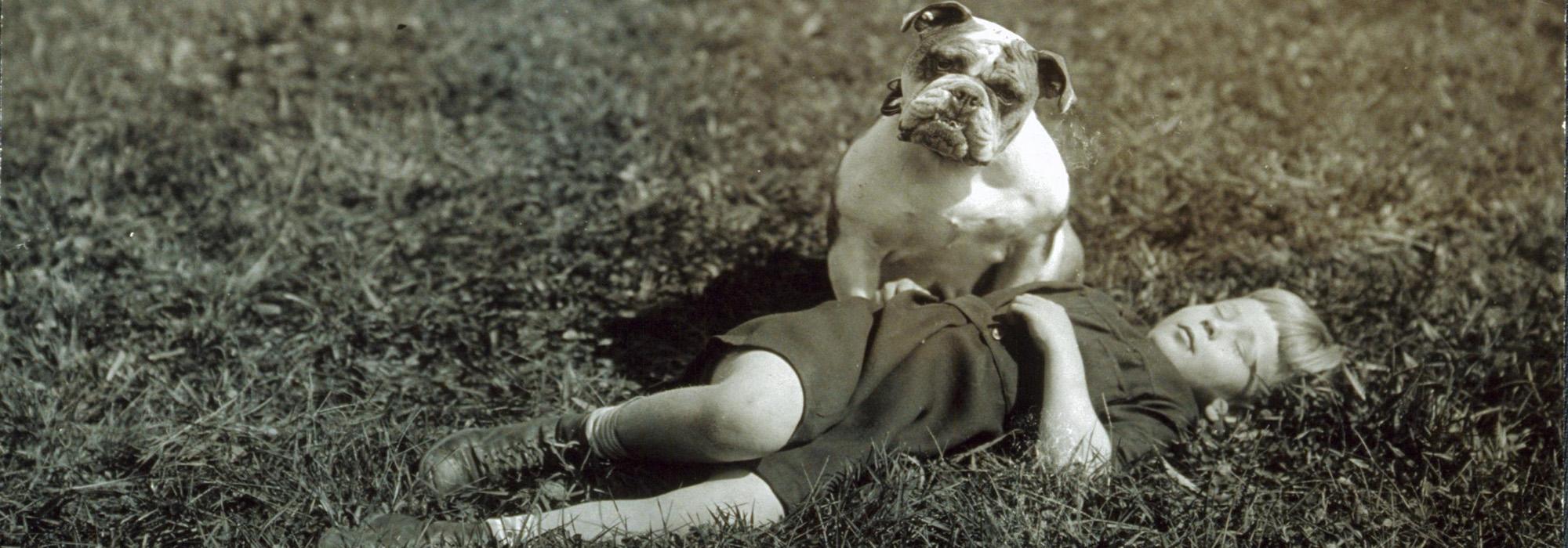 Unidentified boy sleeping in a field. His dog seated beside him ca. 1912-1918.