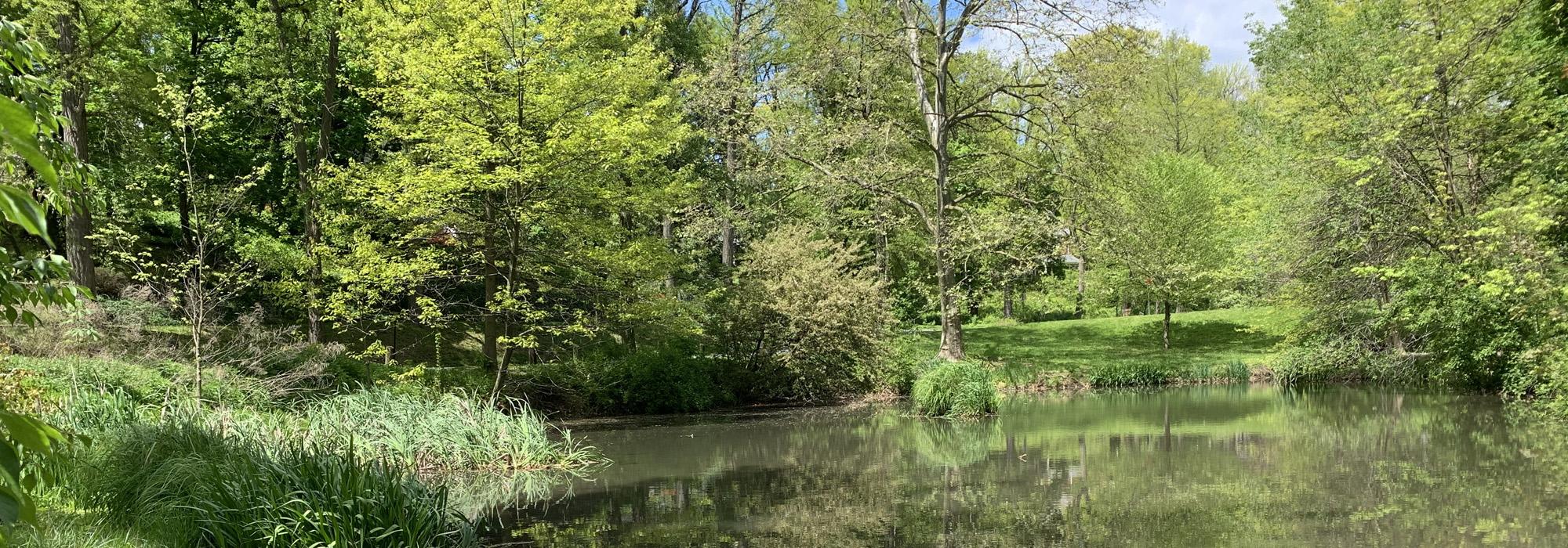 Alternative lower pond, Bellevue Park, PA