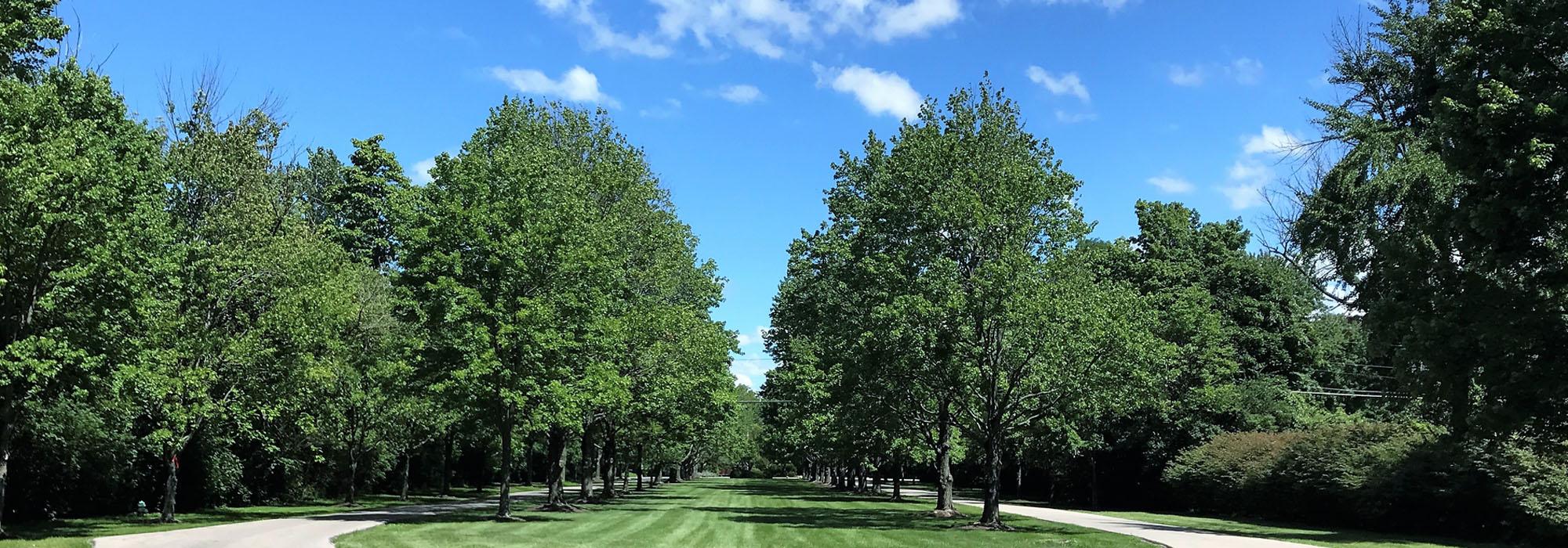 Brendonwood Common Historic District, Indianapolis, IN