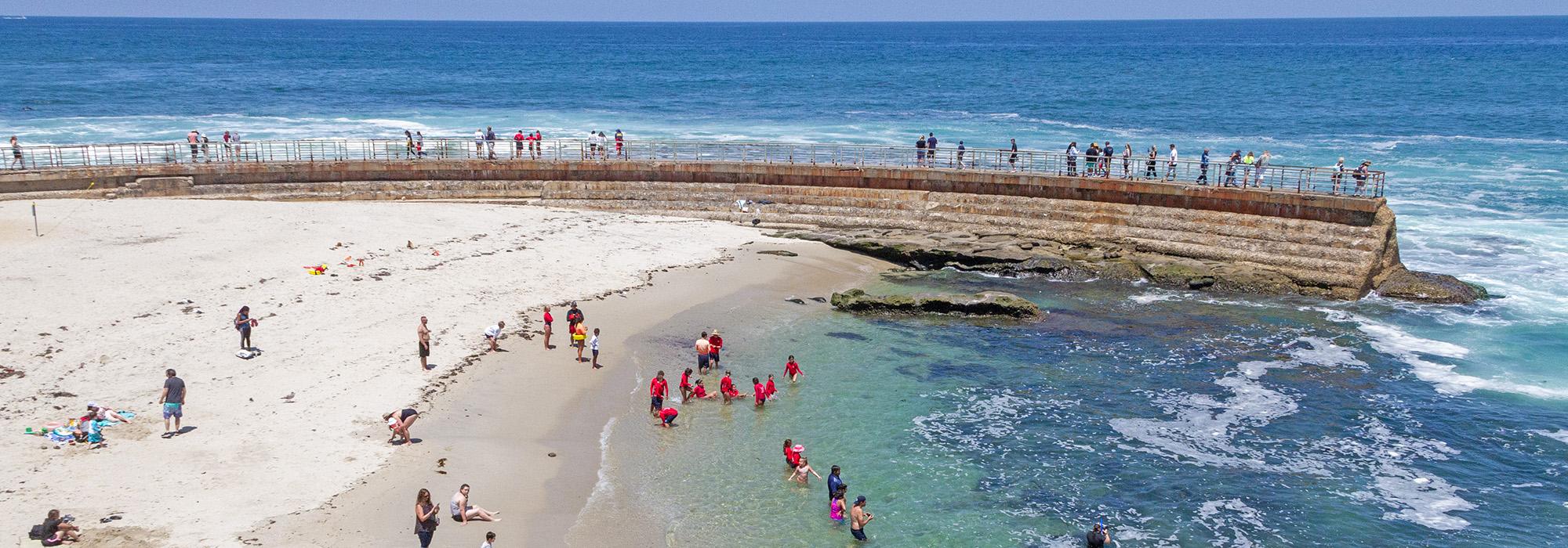 Children's Pool, La Jolla, CA