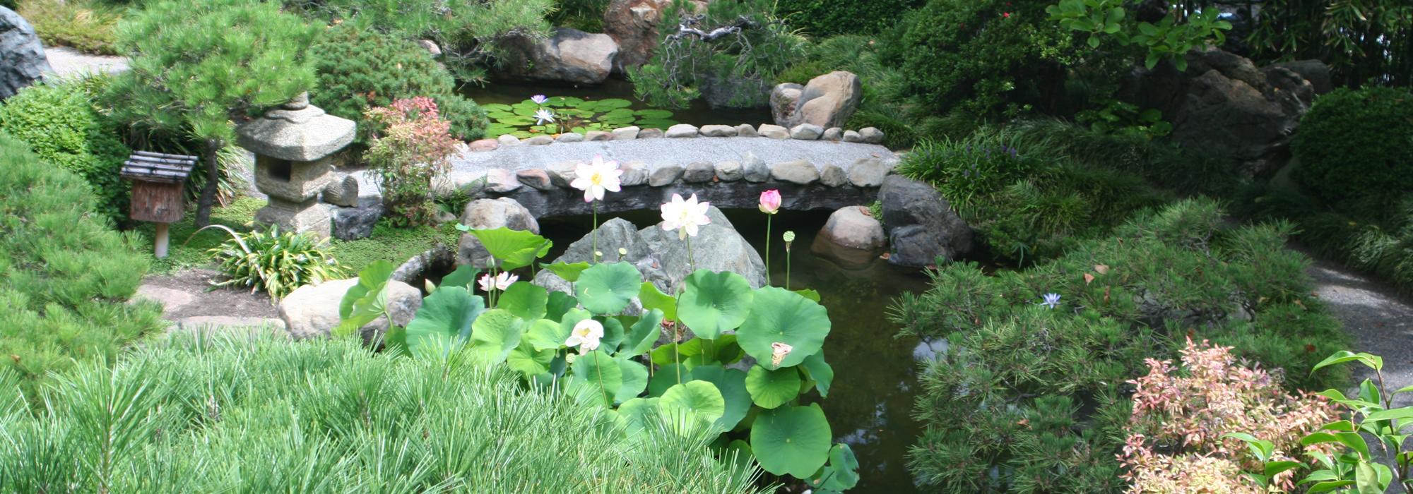 Hannah Carter Japanese Garden, Los Angeles, CA