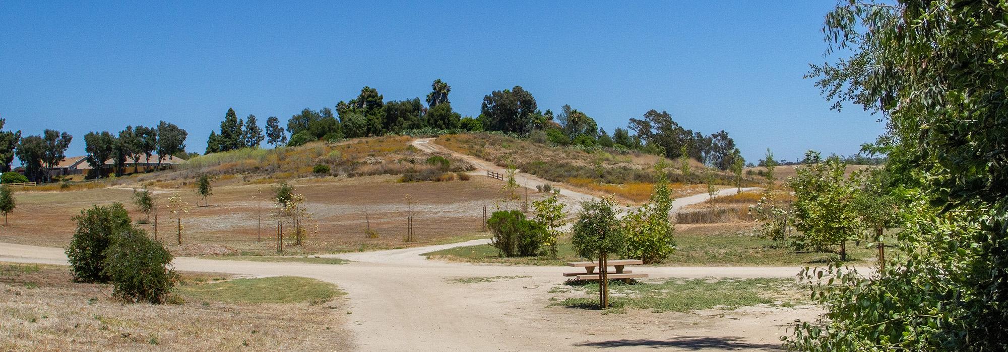 Guajome Regional Park, Oceanside, CA