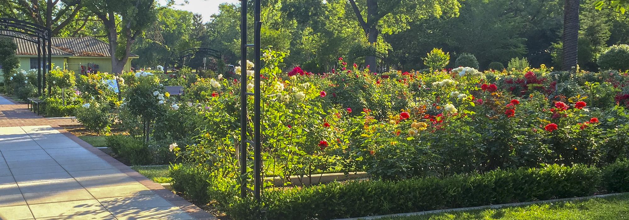 McKinley Park, Sacramento, CA