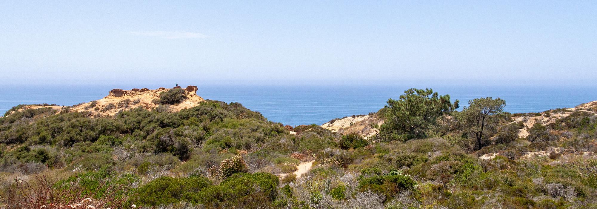 Torrey Pines State Natural Reserve, San Diego, CA