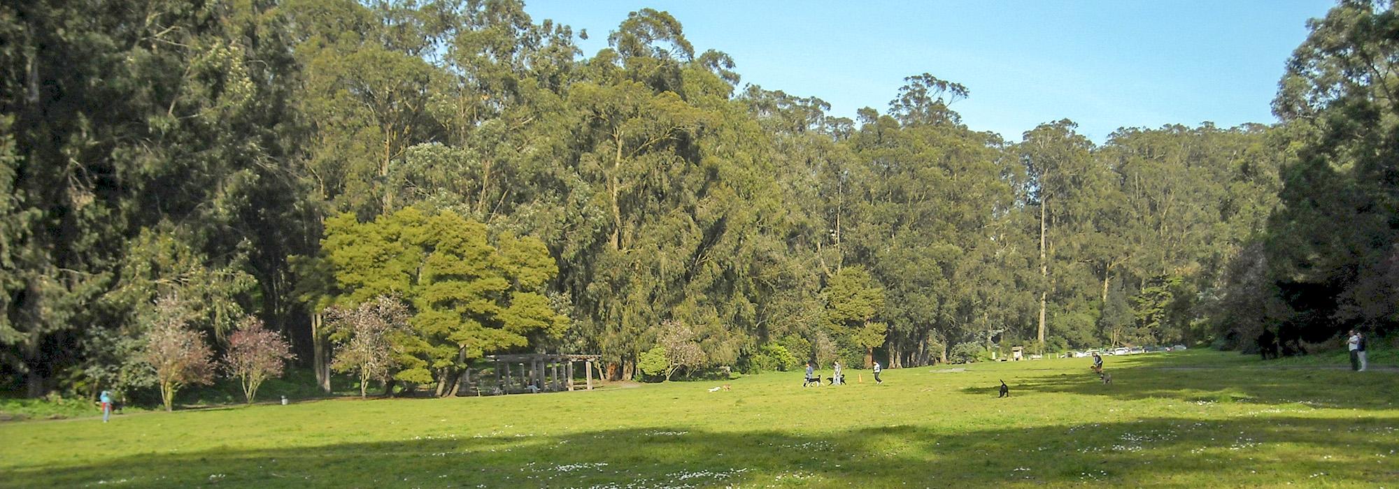 Pine Lake Park, San Francisco, CA