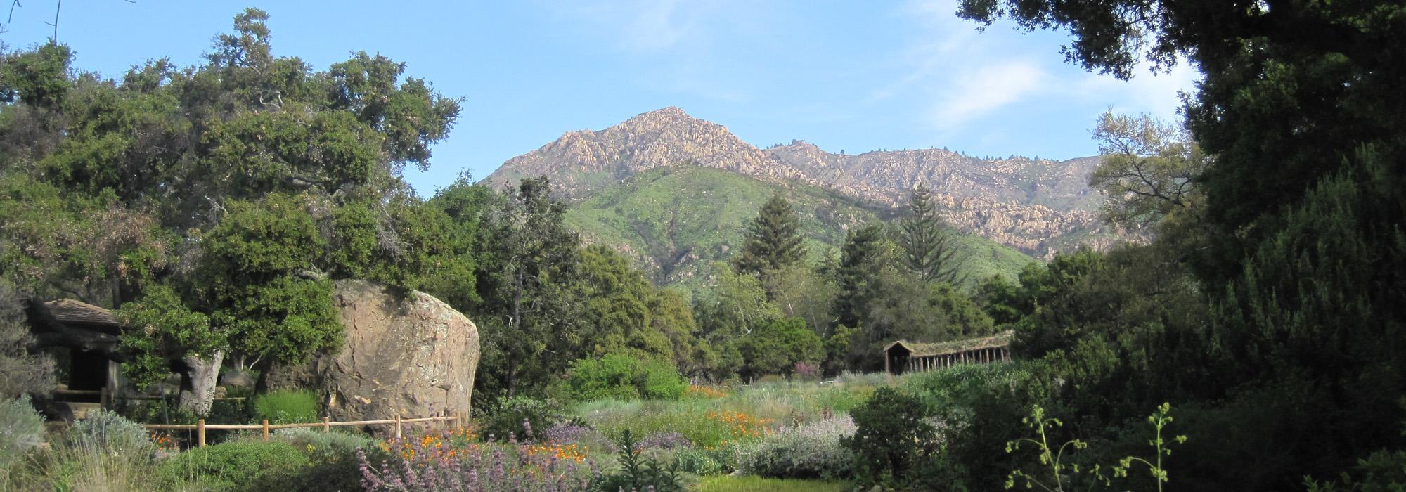 Santa Barbara Botanic Garden