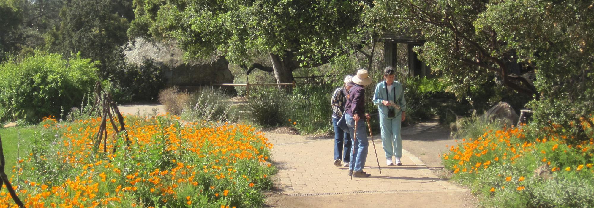 Santa Barbara Botanic Garden