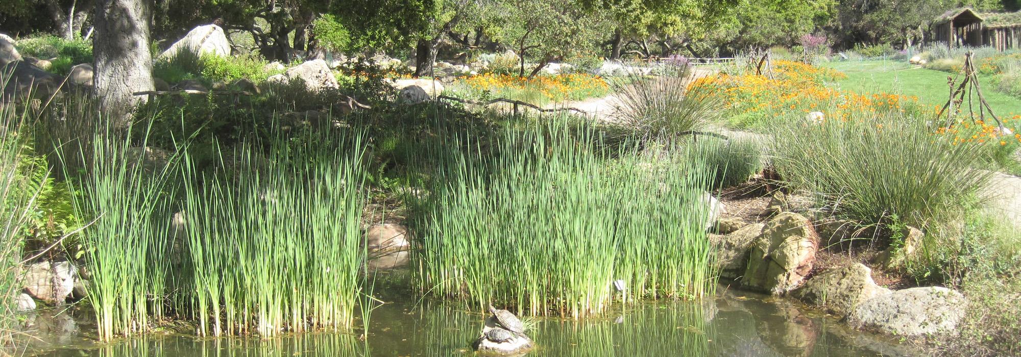 Santa Barbara Botanic Garden