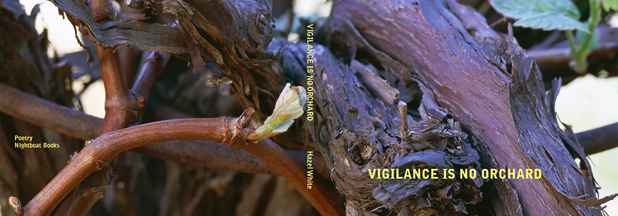 Vigilance Is No Orchard, Santa Barbara, CA