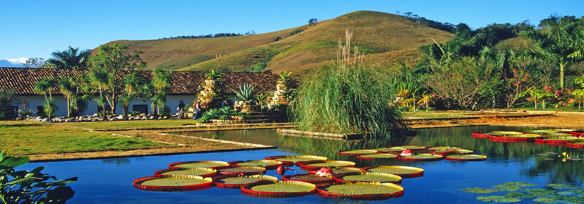 Fazenda Vargem Grande, Areias, Brazil