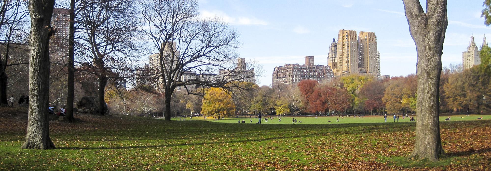 Central Park, New York City