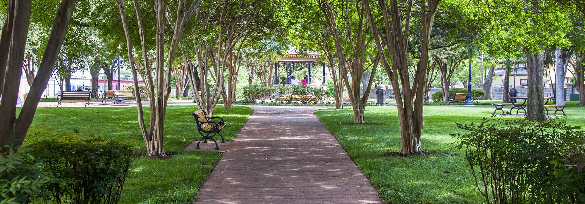 Central Square Park, Dallas, TX