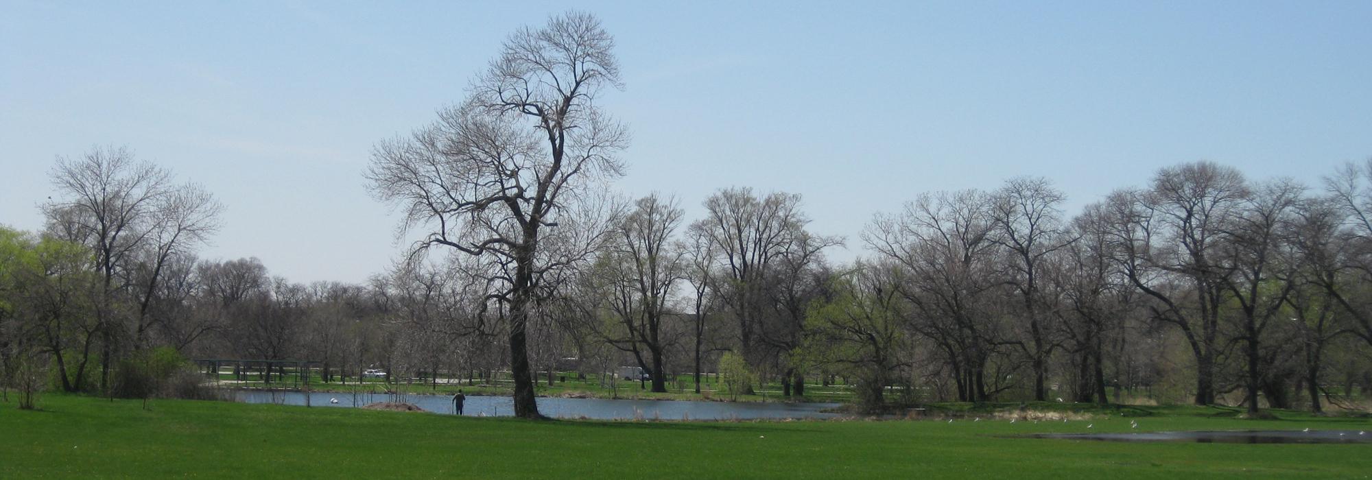 Washington Park, Chicago, IL