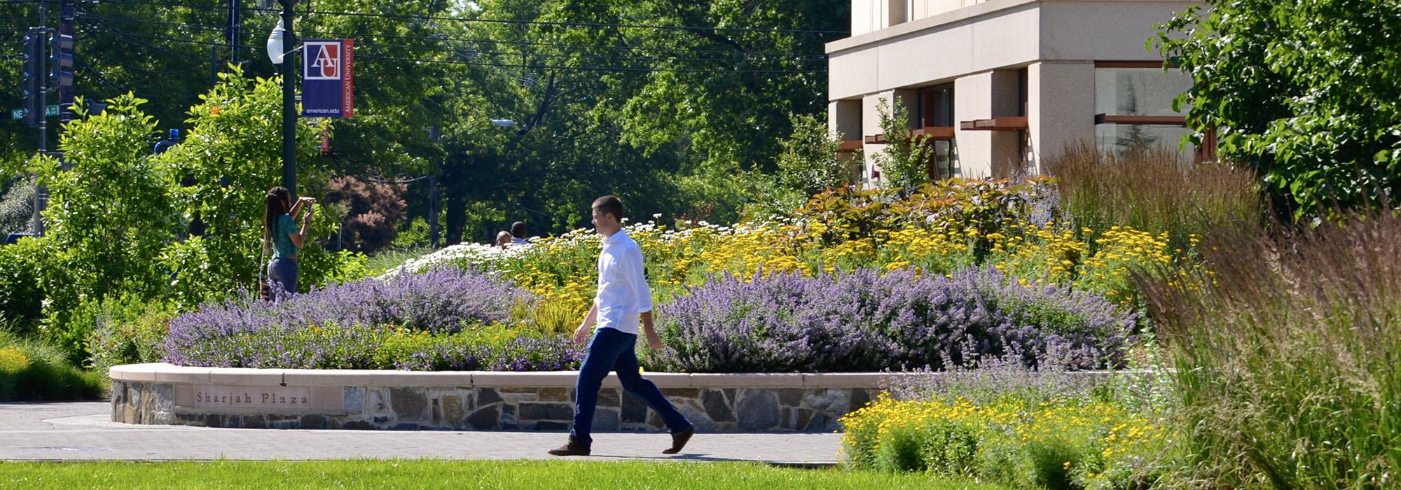 American University, Washington, D.C.