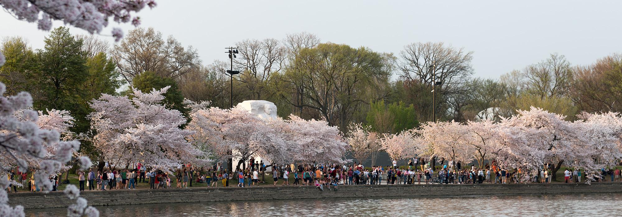 Martin Luther King, Jr. Memorial, Washington, D.C.  