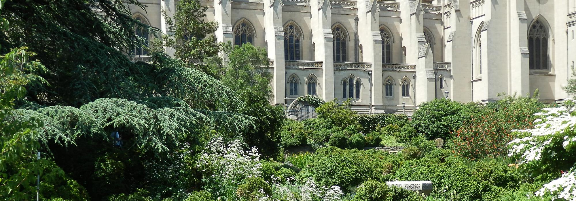 Washington National Cathedral