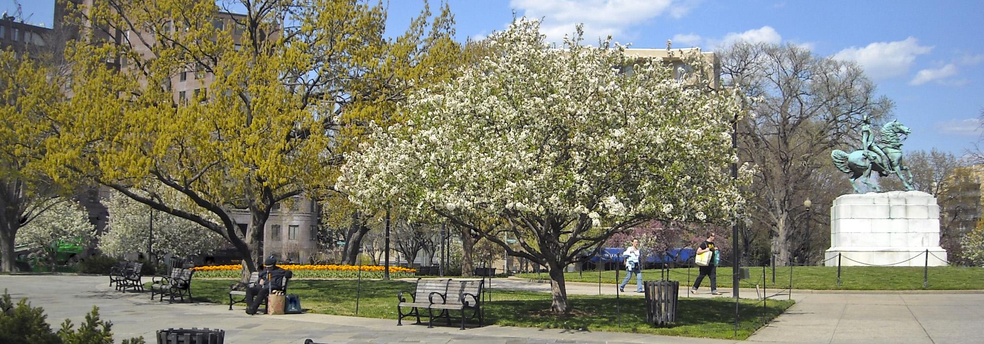 Washington Circle, Washington, DC