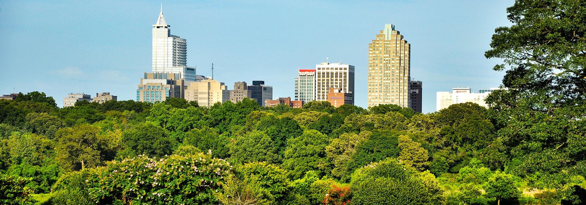 Dorothea Dix Park | TCLF