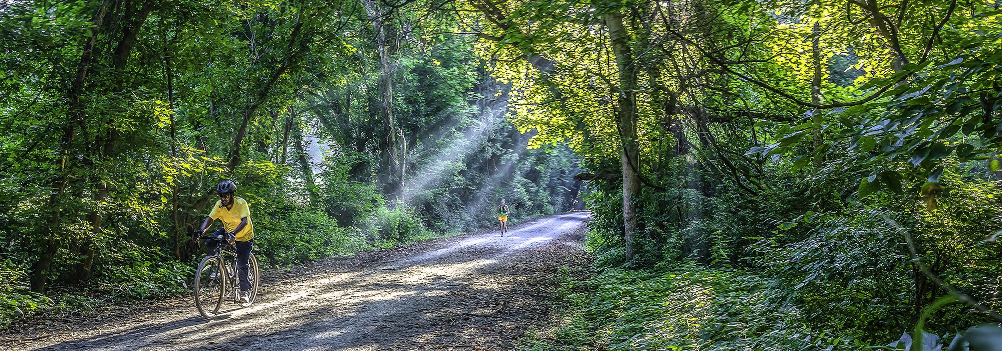 Katy Trail, St. Louis, MO