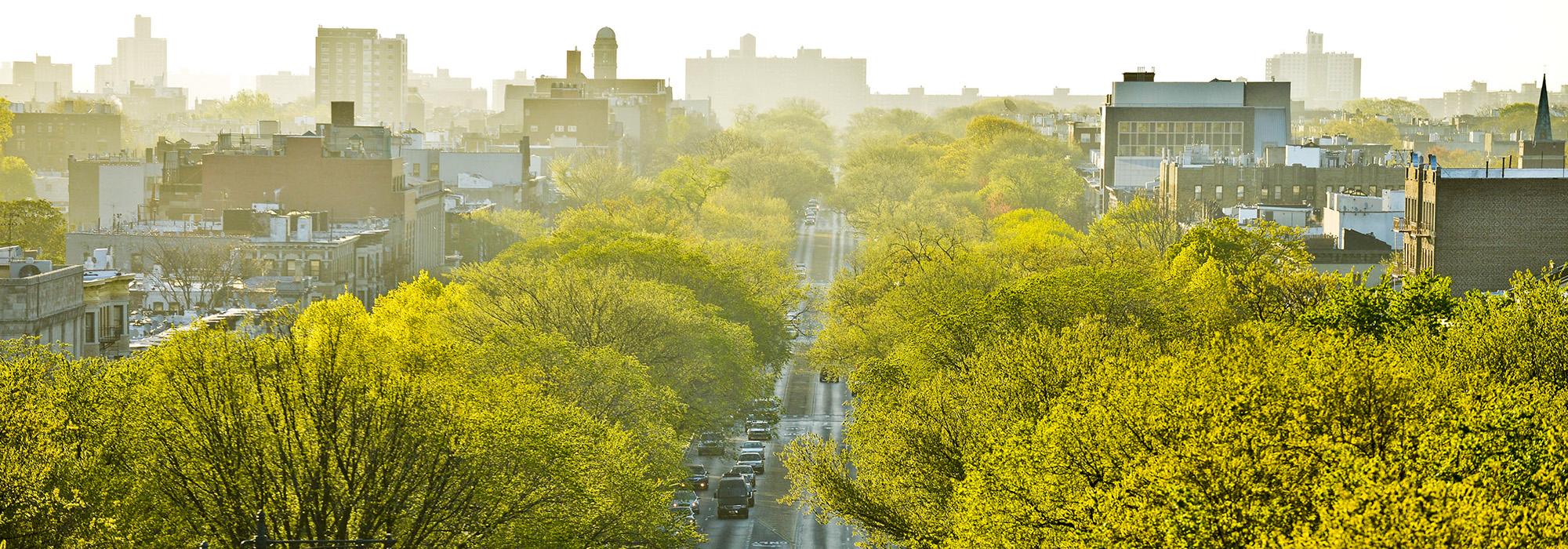 Eastern Parkway, Brooklyn, NY