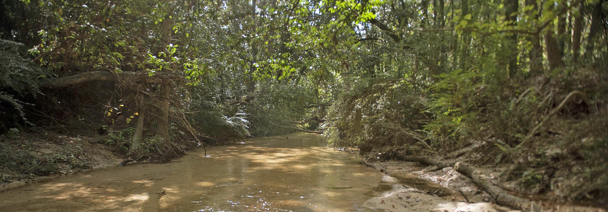 Carpenter Creek, Pensacola, FL