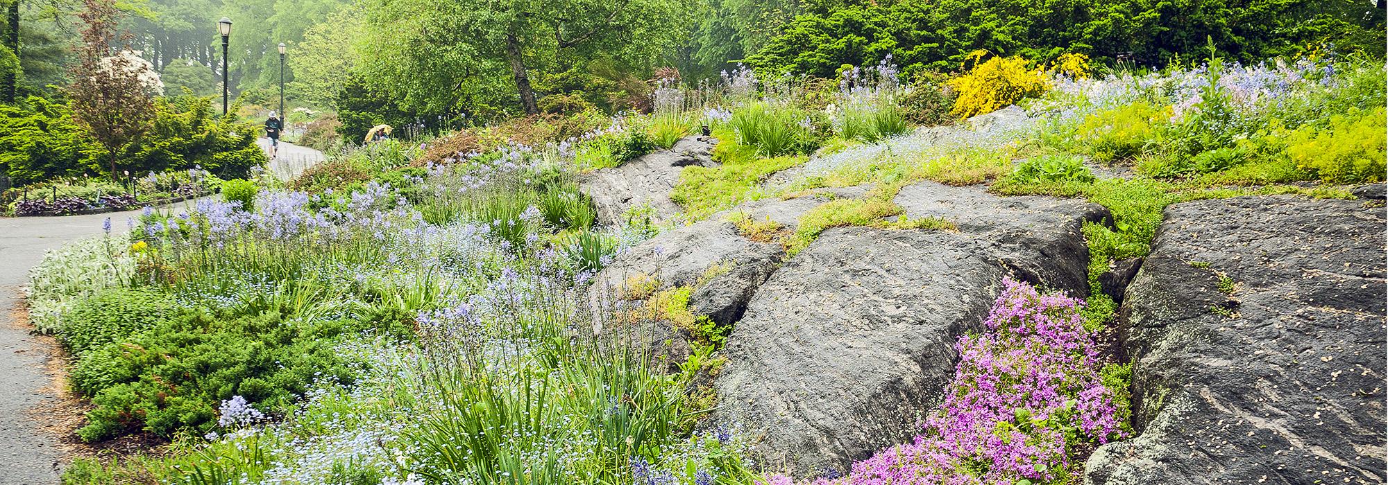 Fort Tryon, Heather Garden