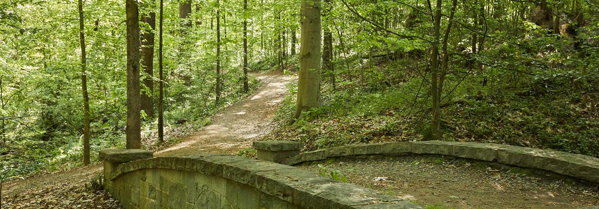 Deepdene Park at Druid Hills, Atlanta, GA