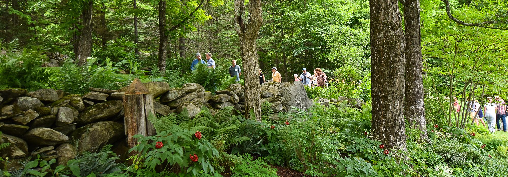 Garden Dialogues, VT with Robin Key