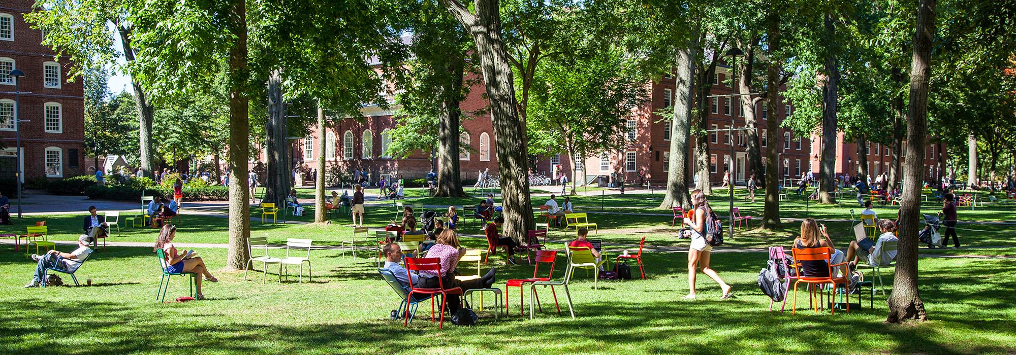 Harvard Yard, Cambridge, MA