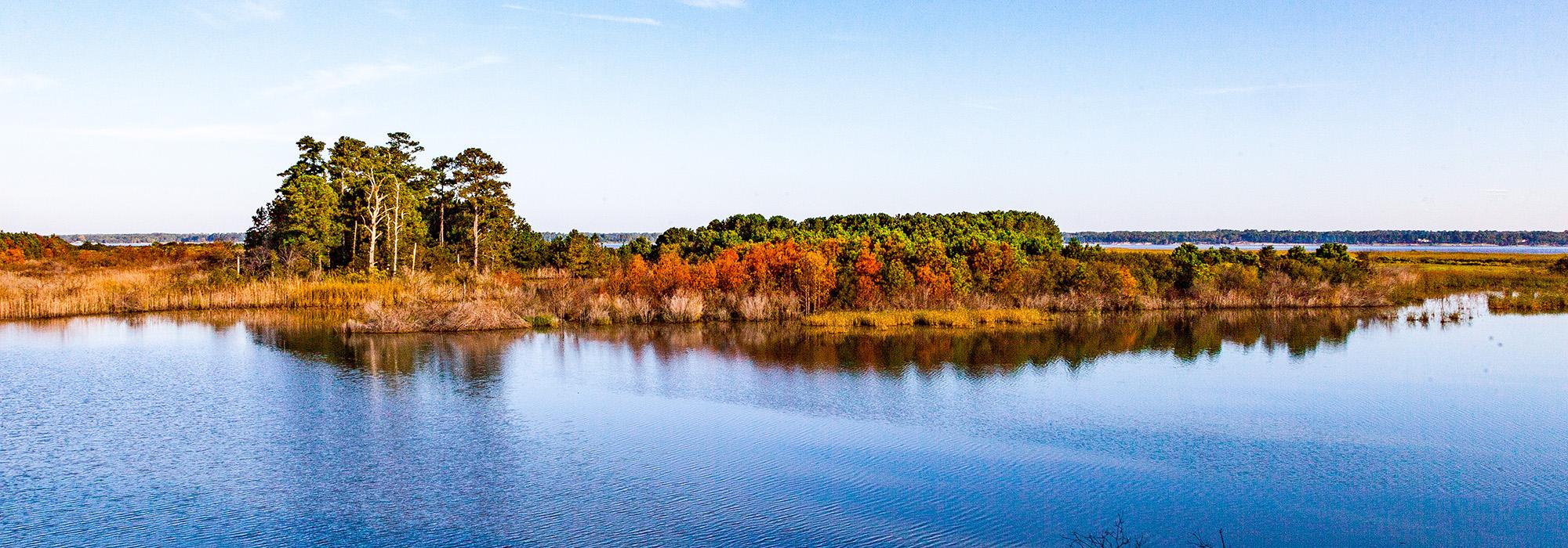 Hog Island Wildlife Management Area, Surry, VA