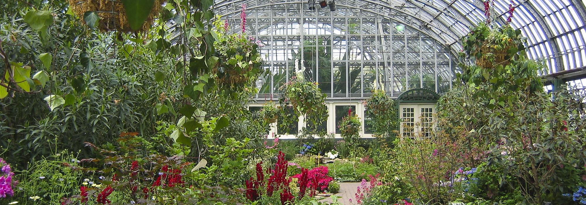 Garfield Park Conservatory, Chicago, IL