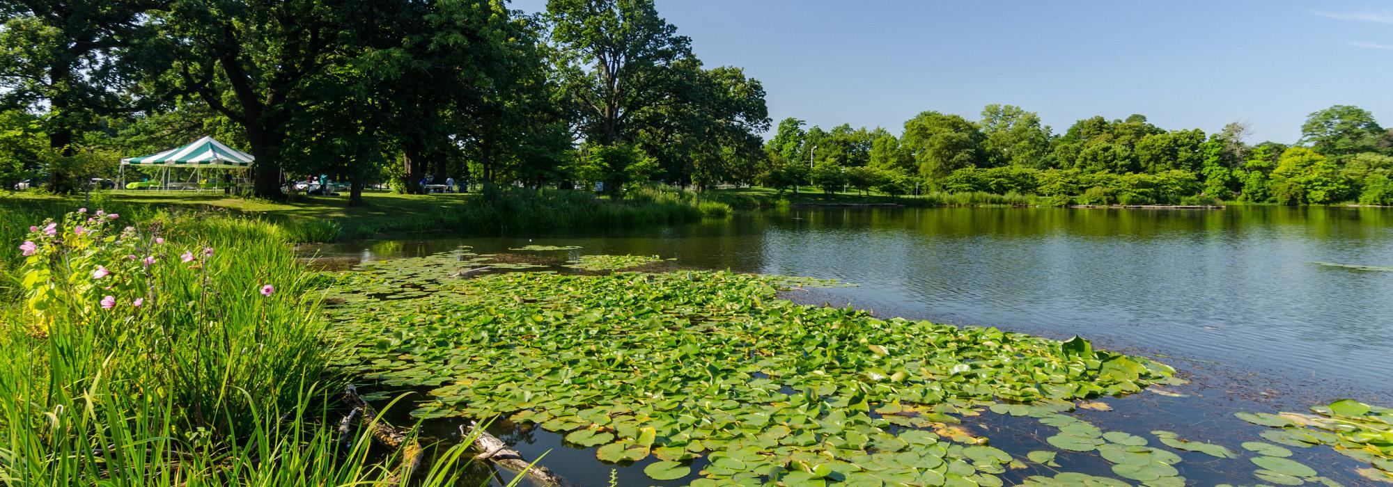 Jackson Park, Chicago, IL