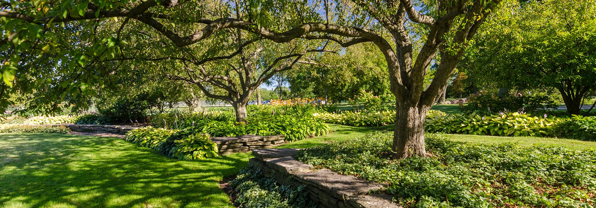 Jackson Park, Chicago, IL