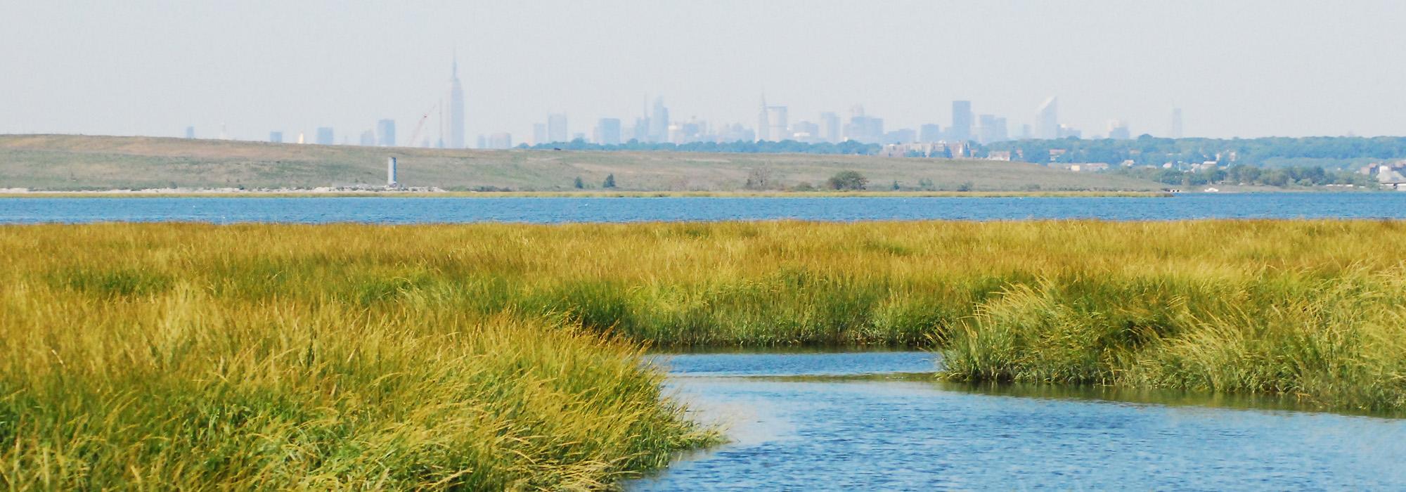 Jamaica Bay Wildlife Refuge, Broad Channel, NY