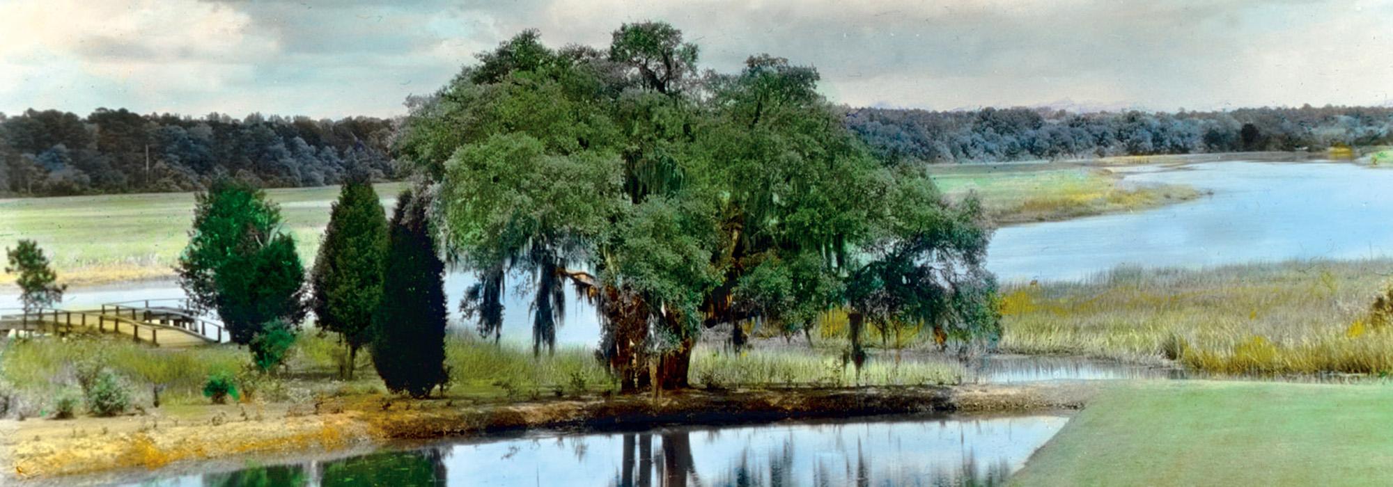 Butterfly Lake, Middleton Place, Charleston, SC, 1928. Landscaped from the 18th century.