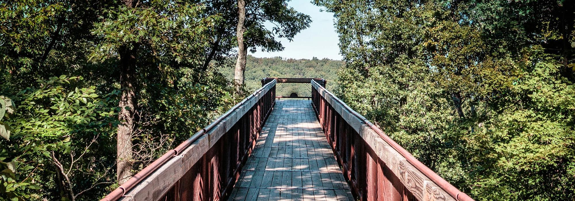 Bernheim Arboretum and Research Forest, Clermont, KY