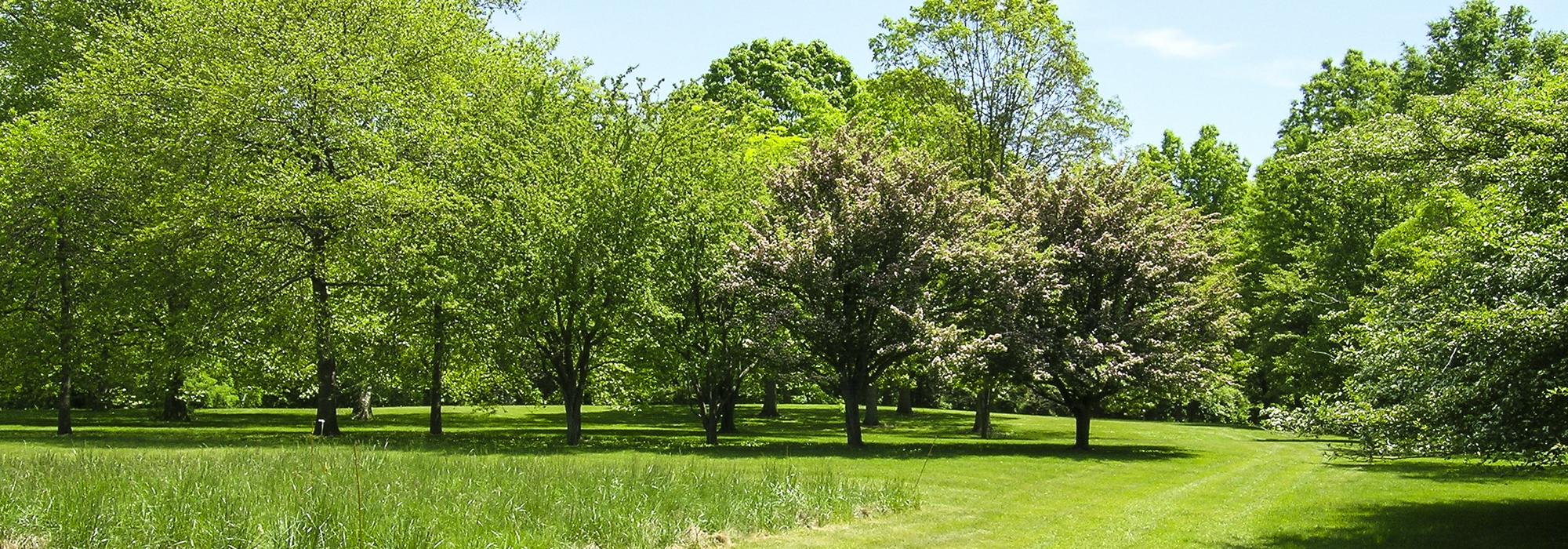 Hilltop Arboretum, Baton Rouge, LA