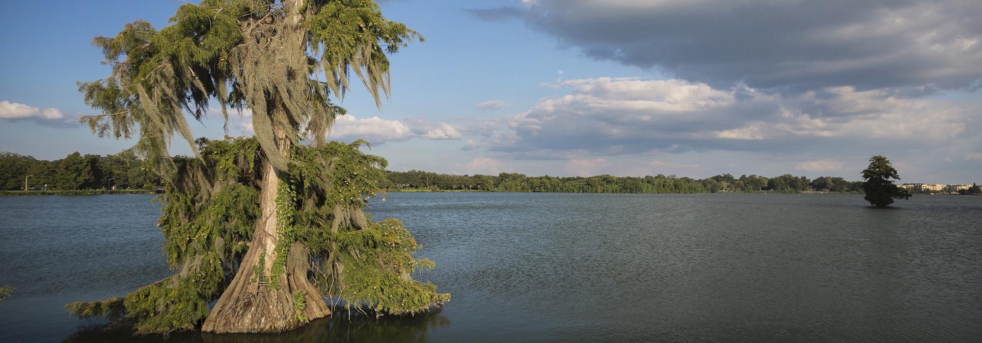 University Lakes, Baton Rouge, LA