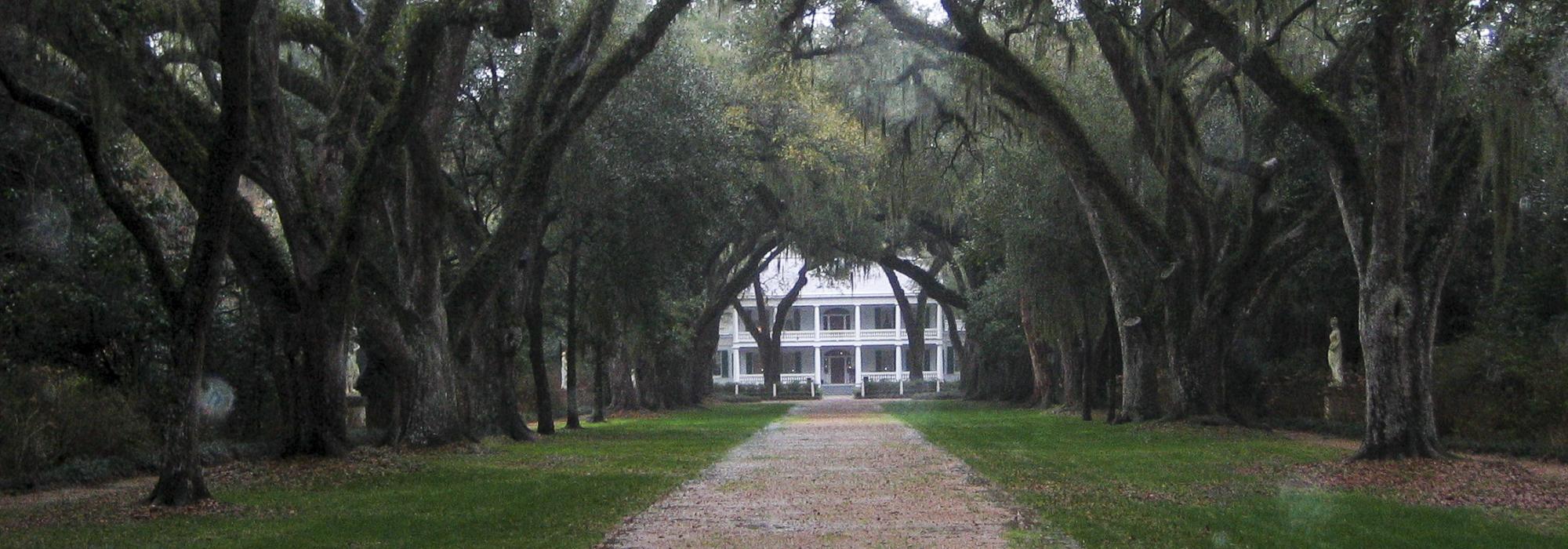 Rosedown Plantation