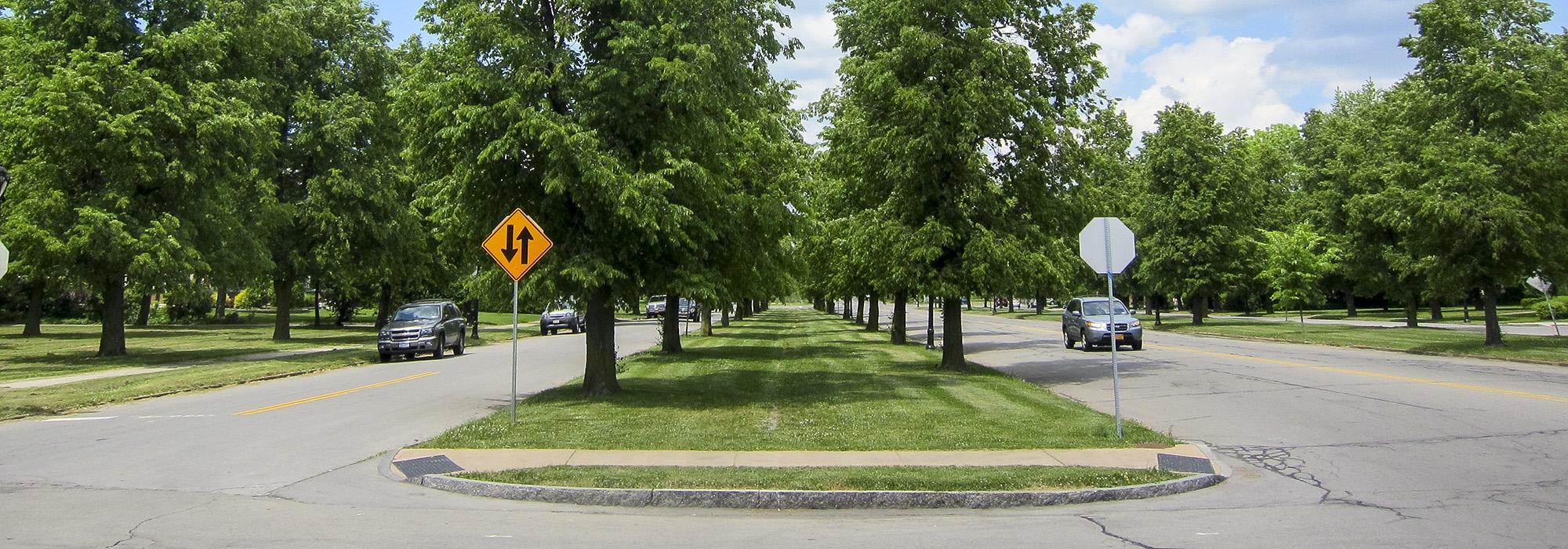 Lincoln Parkway, Buffalo, NY