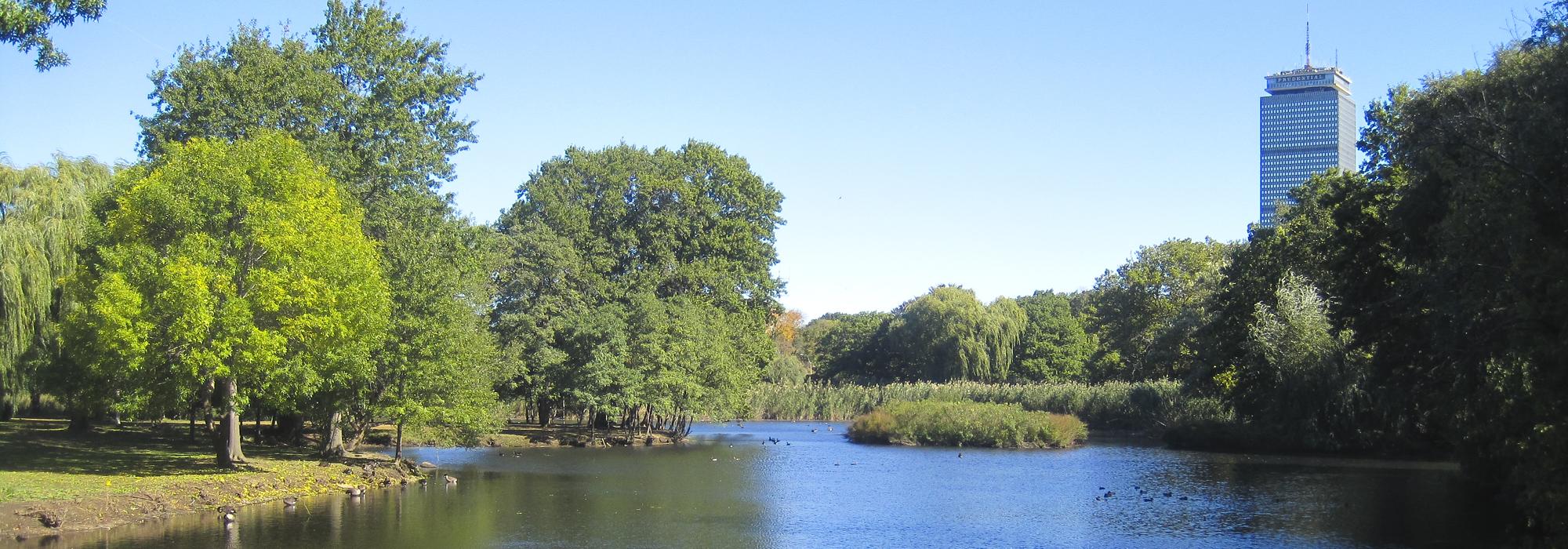 Back Bay Fens, Emerald Necklace, Boston, MA