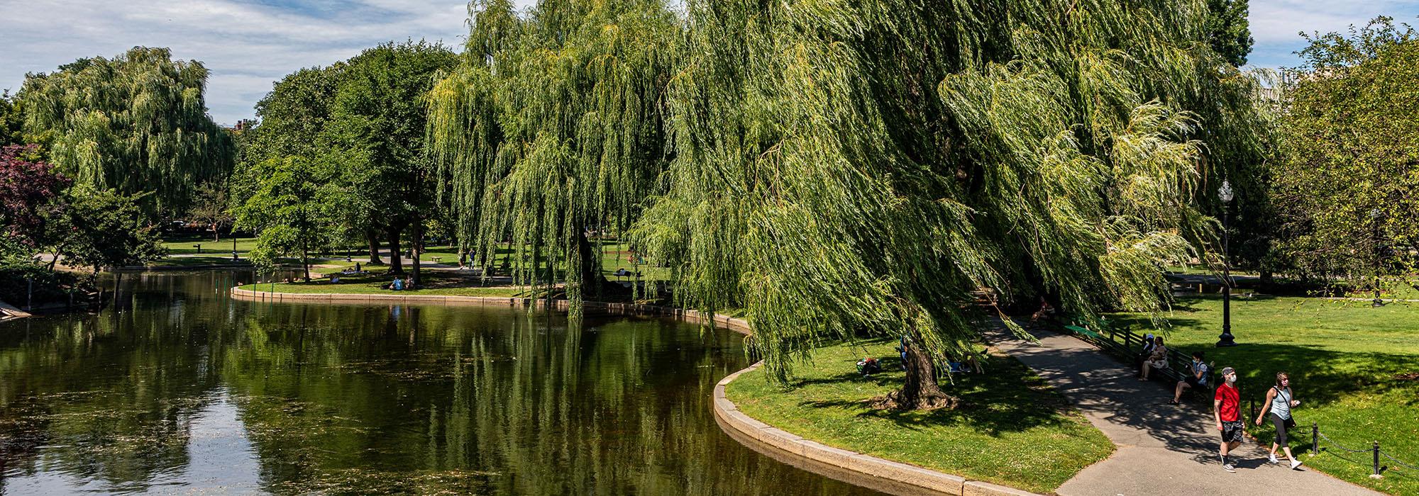 Public Garden, Boston, MA