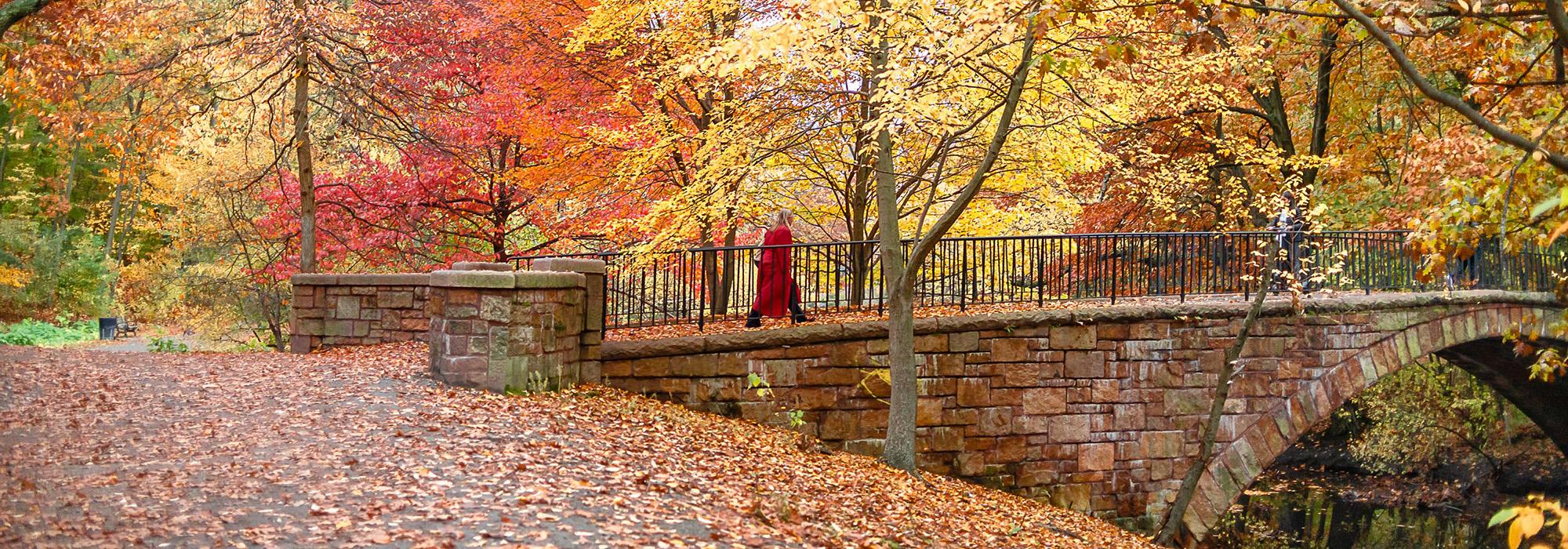 The Riverway, Boston, MA