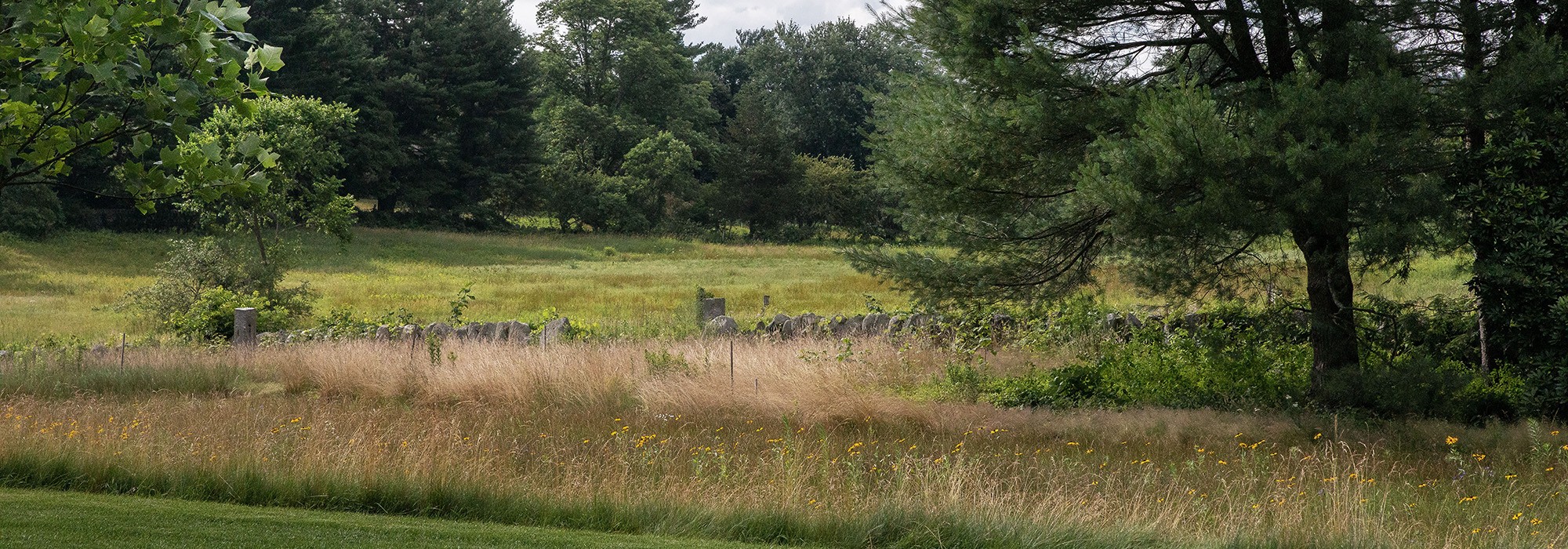 Two Courts One Meadow, Concord, MA, 01742