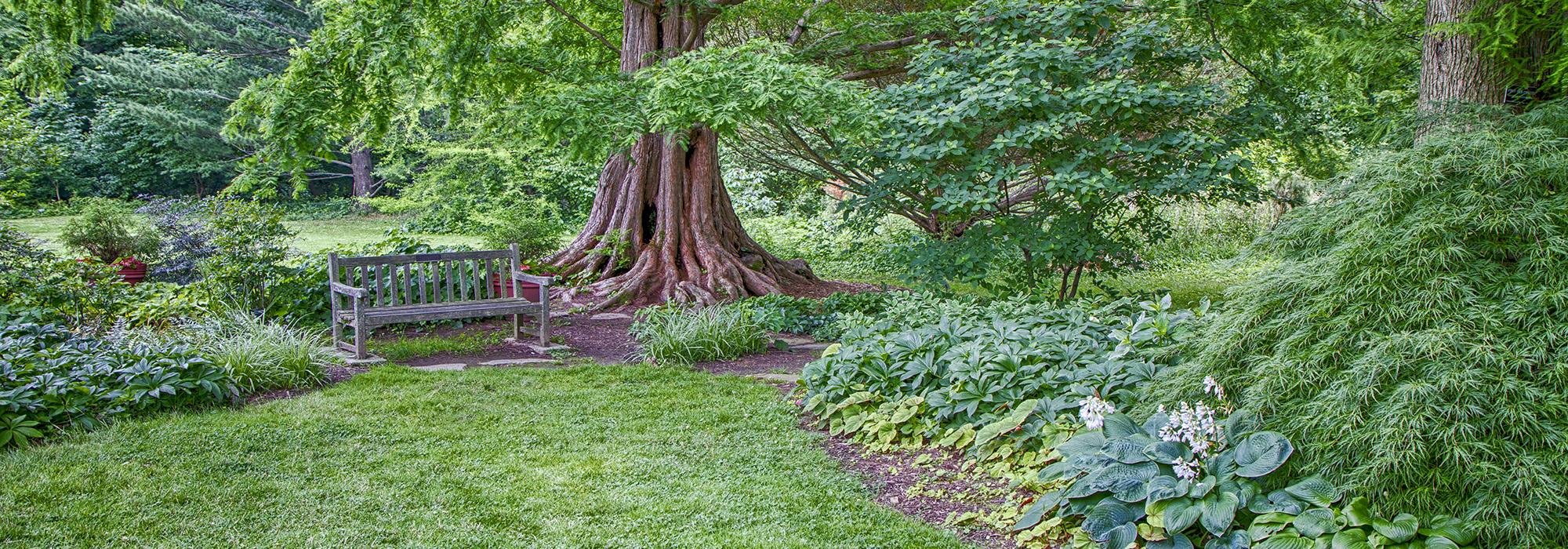 Cylburn Arboretum, Baltimore, MD